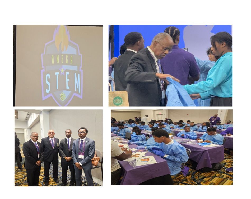 stem